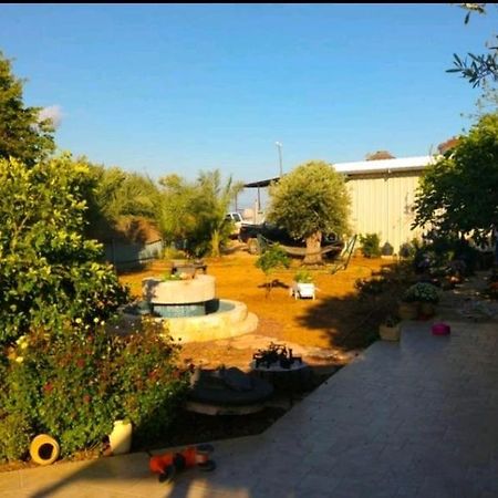בחצר של טובה Apartment Hazon Екстериор снимка
